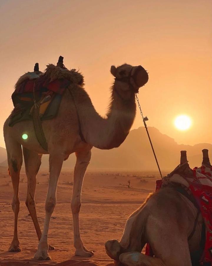 Rum Desert Princess Camp Wadi Rum Esterno foto